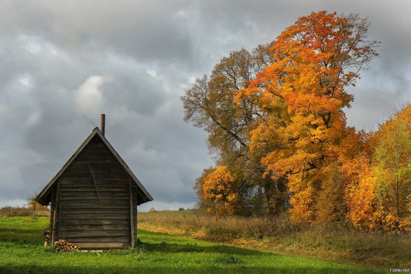 Осень деревня Зенькино