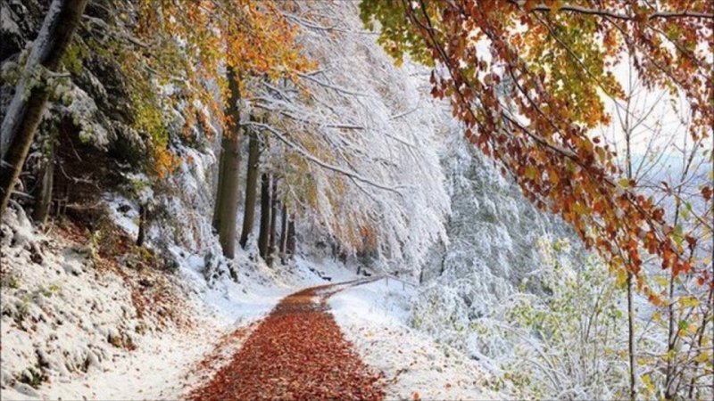 Осень зима природа