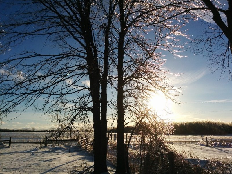 Winter Landscape countryside