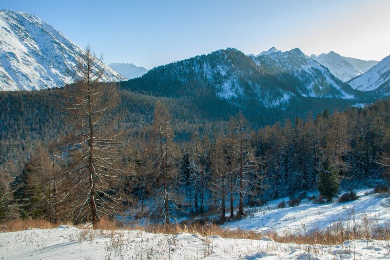 Горно Алтайск Алтай горы зимой