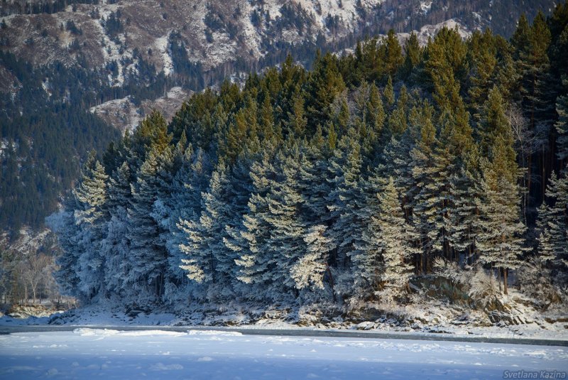 Чемал горный Алтай зима