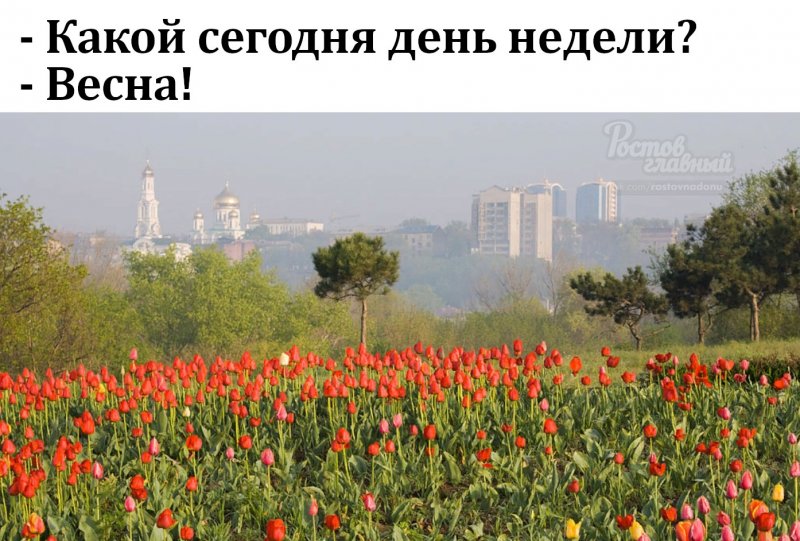 Ростов на Дону весной