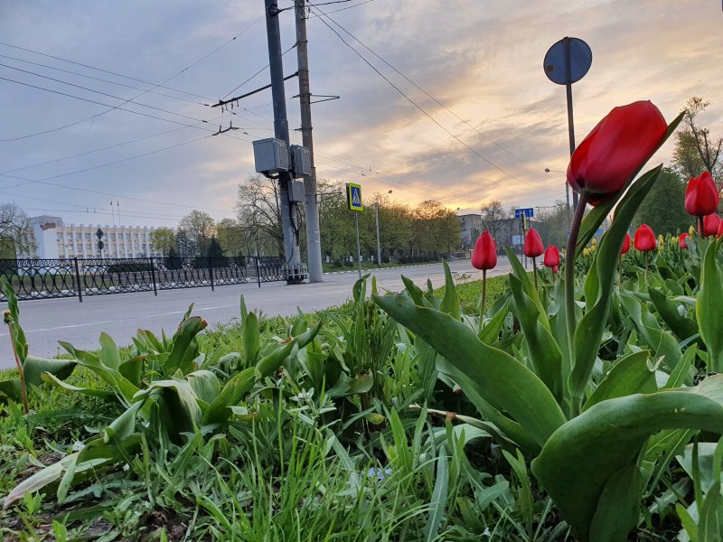 Весна в Ростове