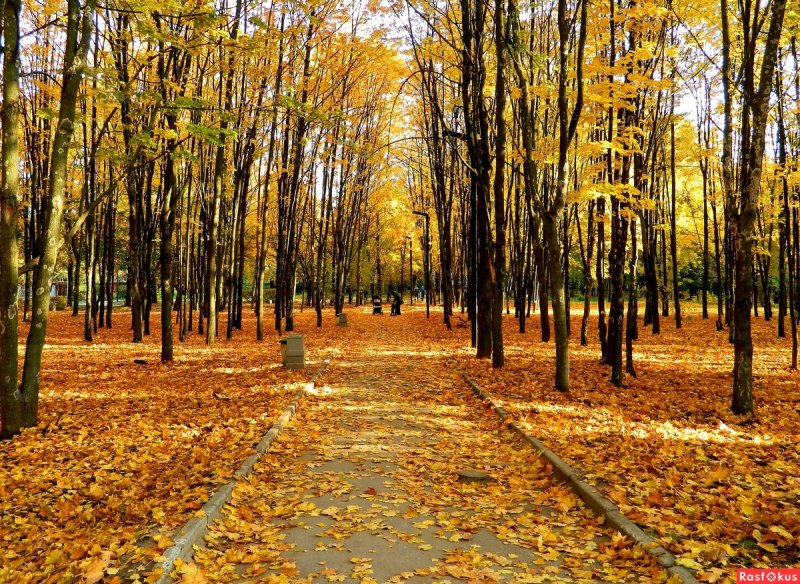 Кисловодск осенью парк аллея