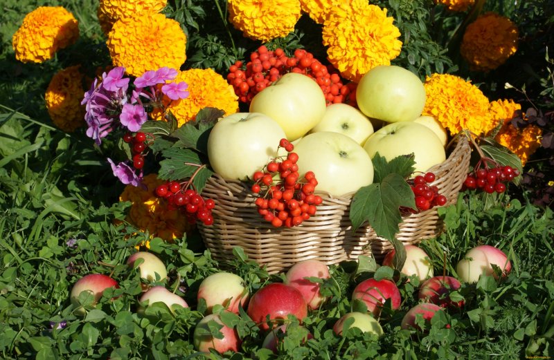 Осенняя корзина с фруктами и овощами