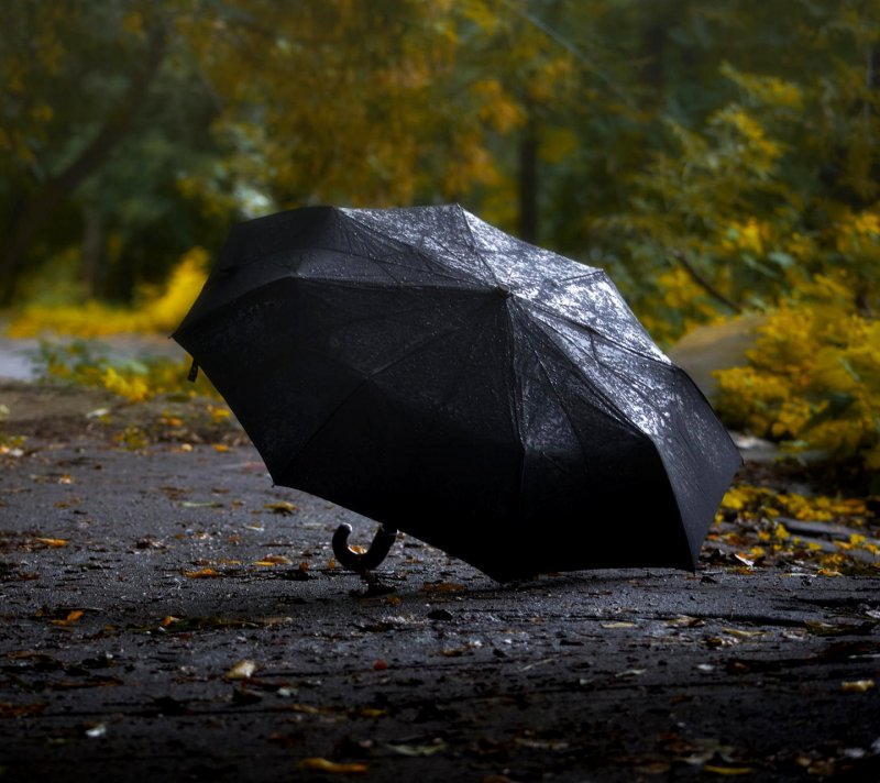Дождевой зонт