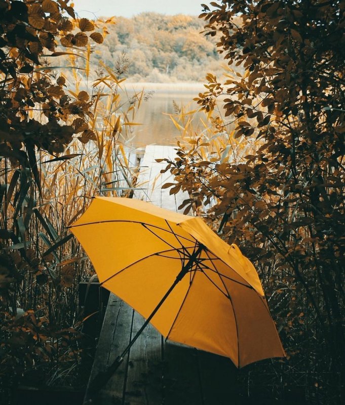 Мужчина с зонтом в парке