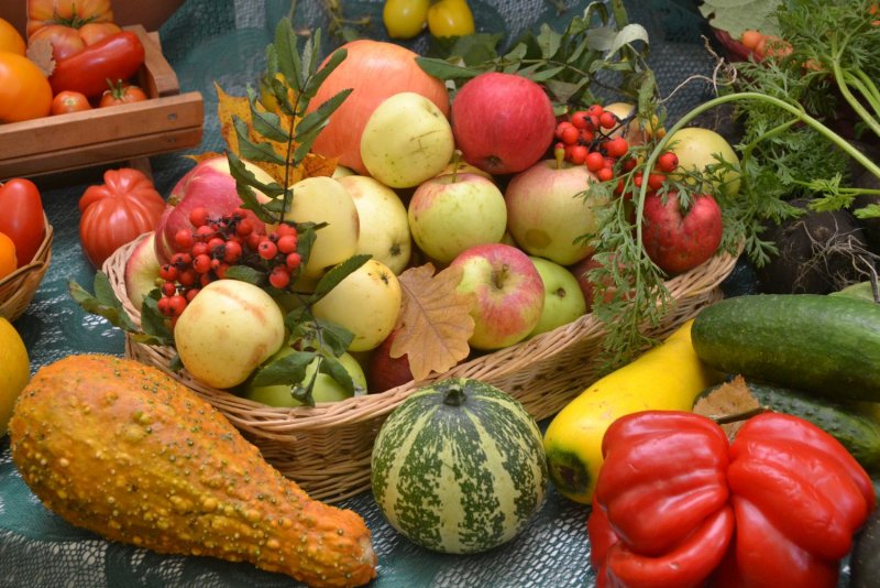 Урожай овощей и фруктов