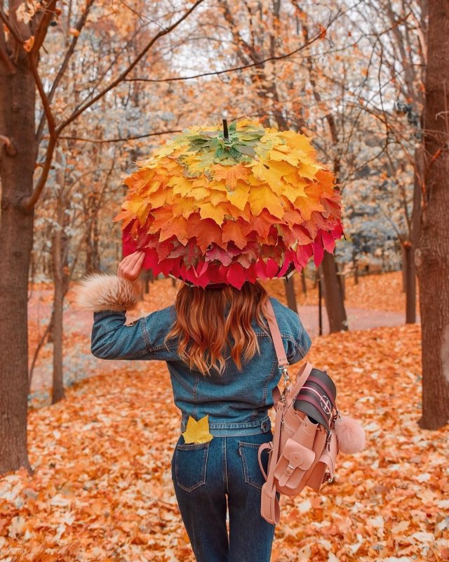 Зонт скамейка осень
