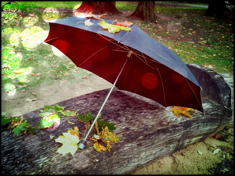Зонтик на природе