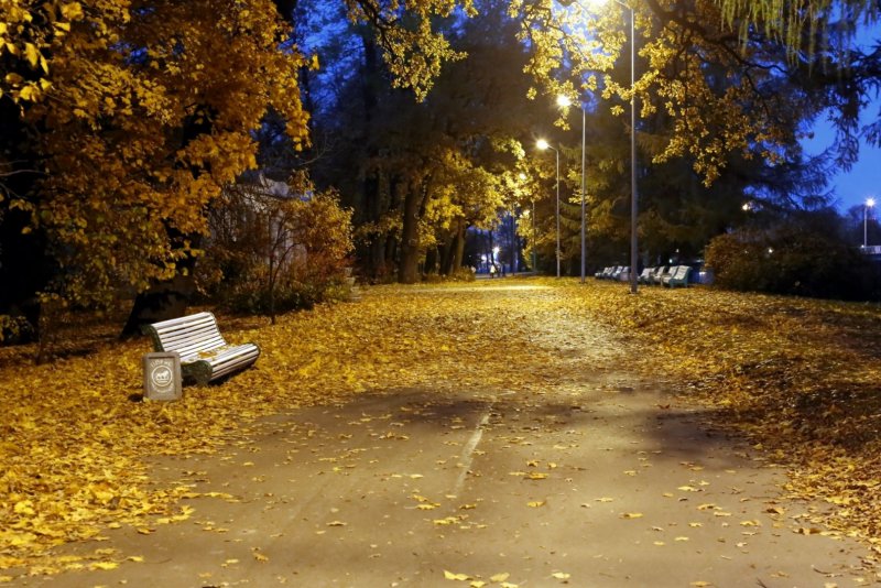 Осень парк вечер