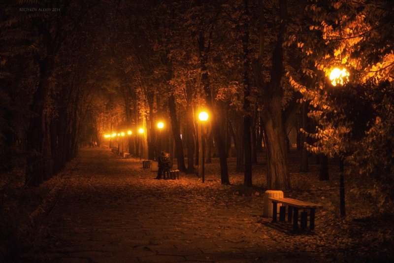 Осенний парк ночью