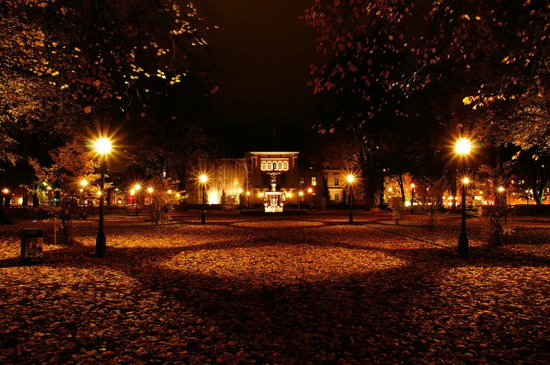 Ночной парк в Томске