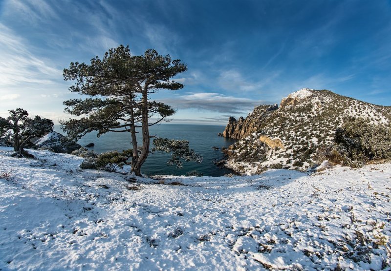 Южный берег Крыма зимой