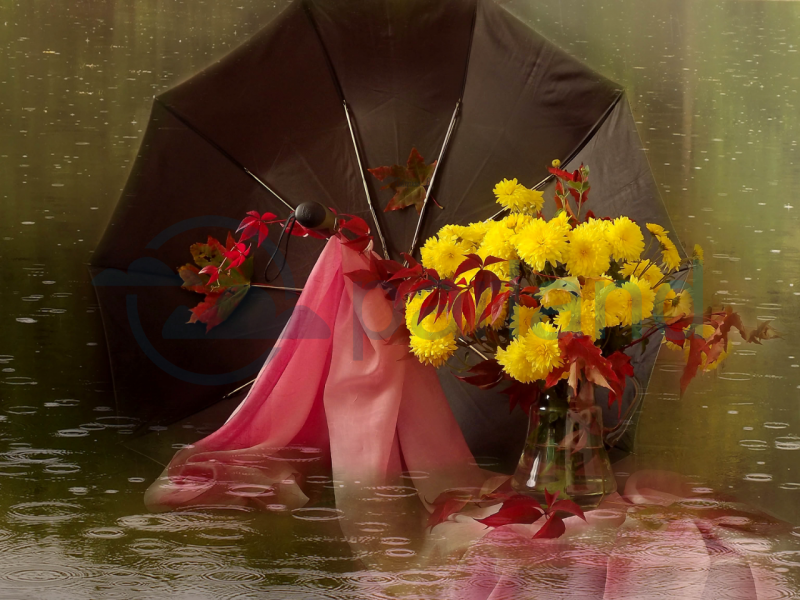 Свадебная фотосессия с зонтом осень