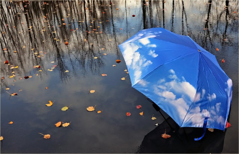 Фотосессия с зонтом