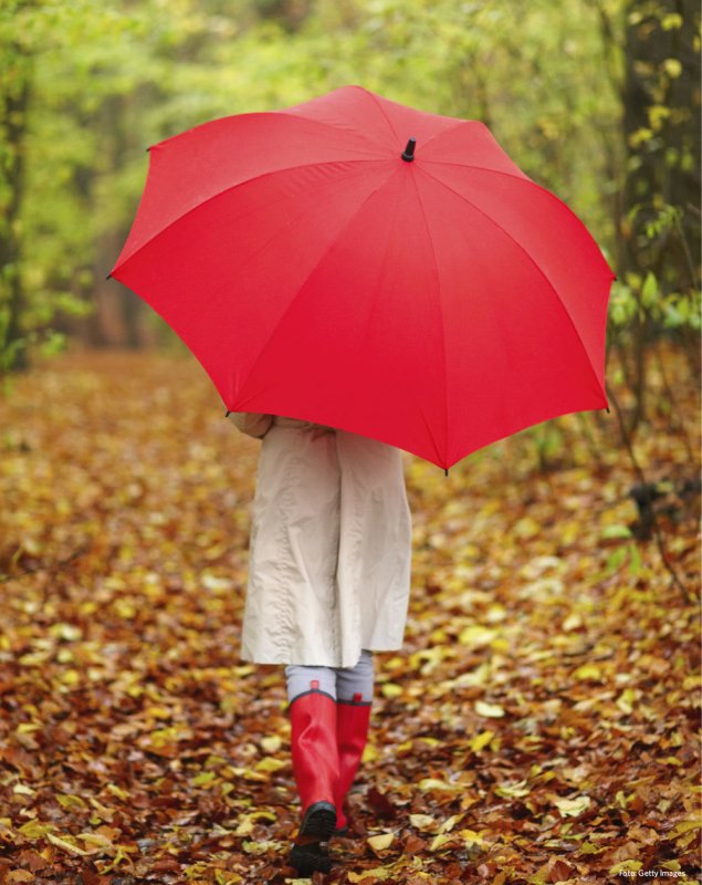 Женщина с зонтиком осень