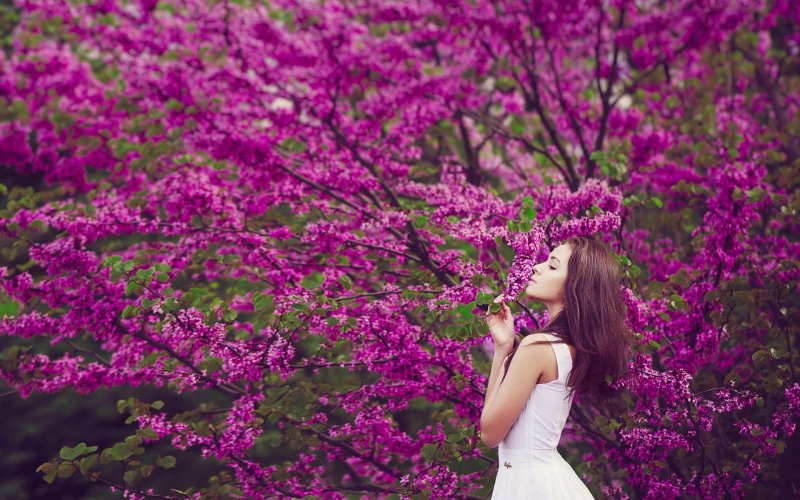 Девушка с цветущим деревом