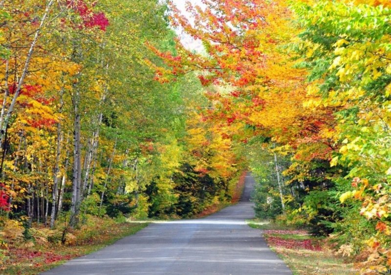 Осенний листопад Квебек