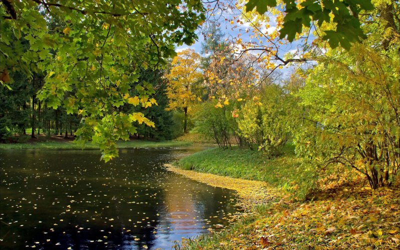 Нарышкинский пруд осенью