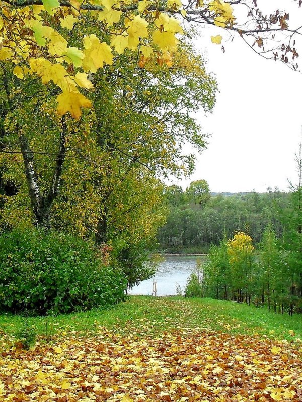 Осень в Строгино парк