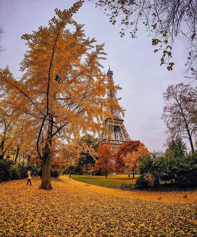 Париж Версаль осенью