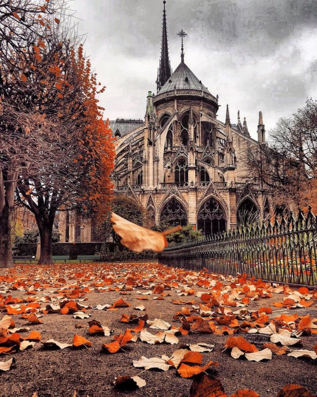 Осенние улочки Парижа