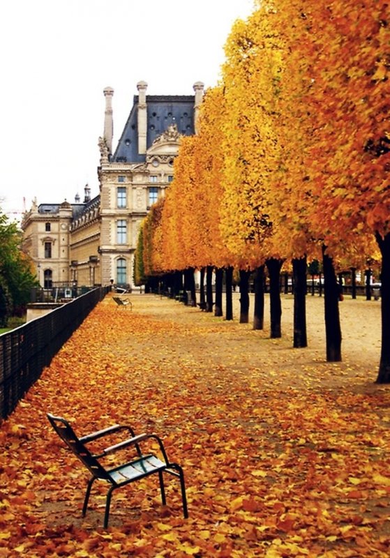 Париж осенью