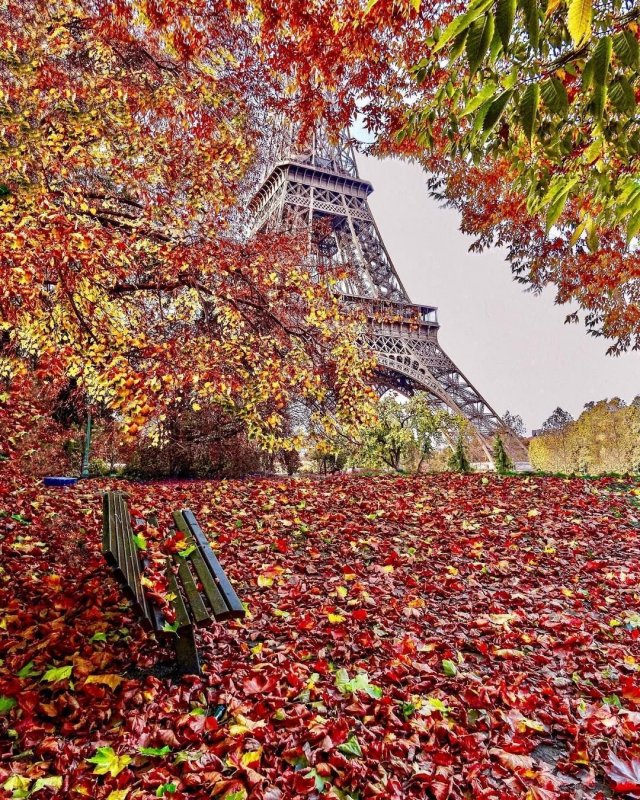 Осенний парк Париж