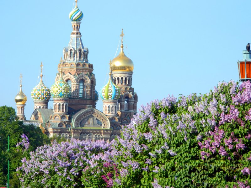 Весенний Санкт-Петербург спас на крови