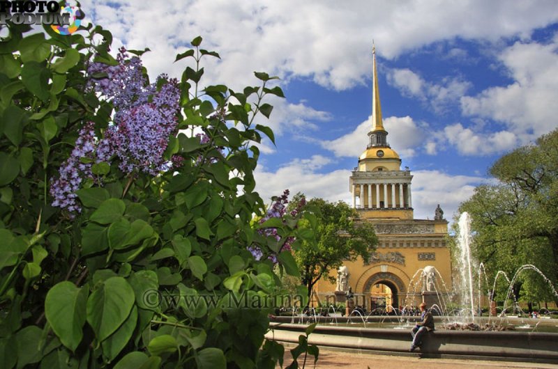 Сирень у Казанского собора в Санкт-Петербурге