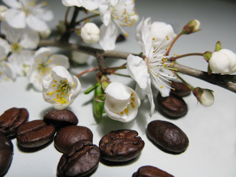 Кофейная Весна