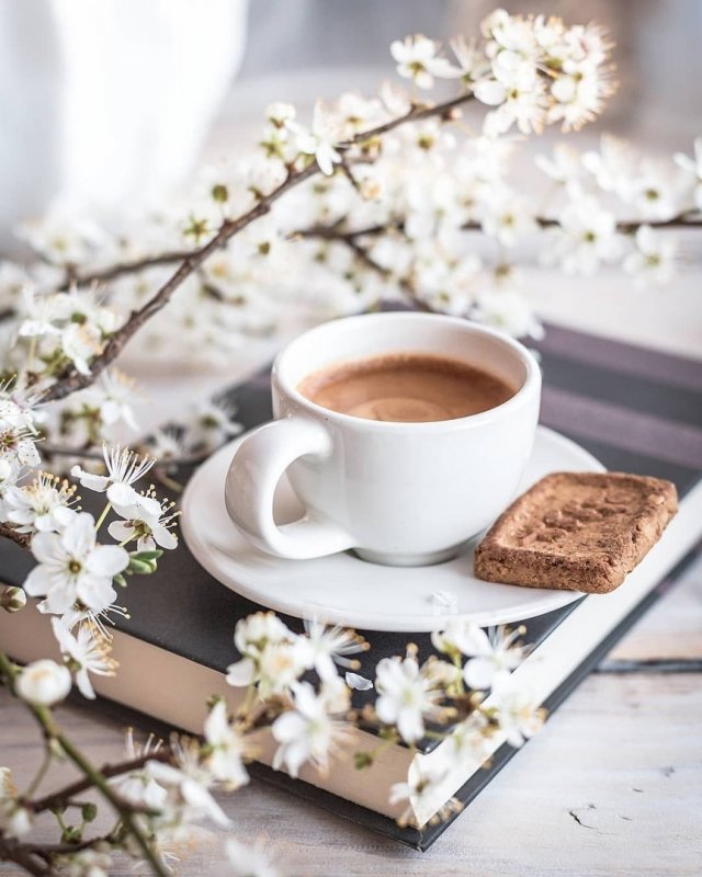 Кофе Весна