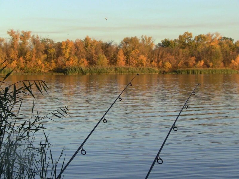 Осенняя рыбалка