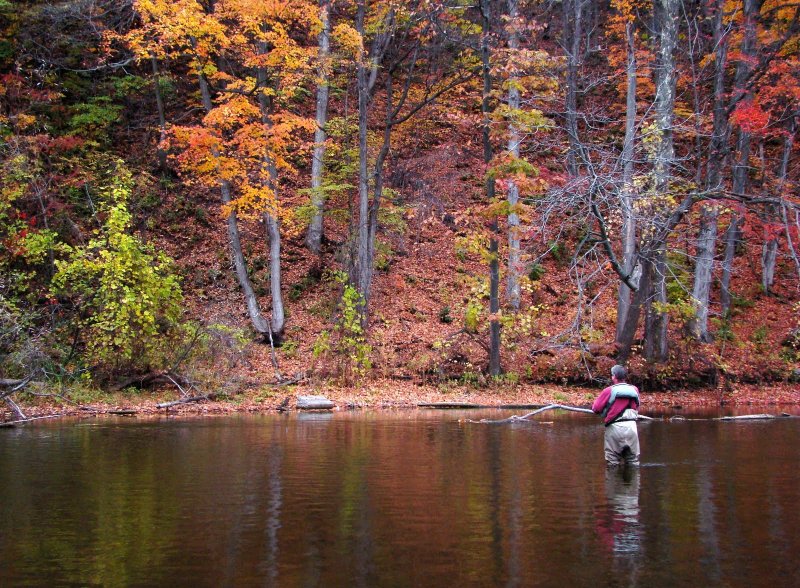 Осенняя рыбалка природа