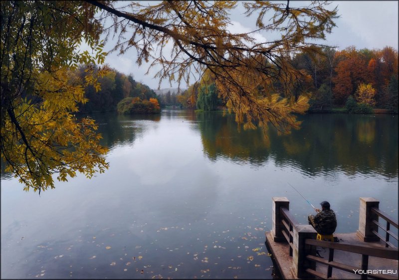 Озеро дача рыбалка осень