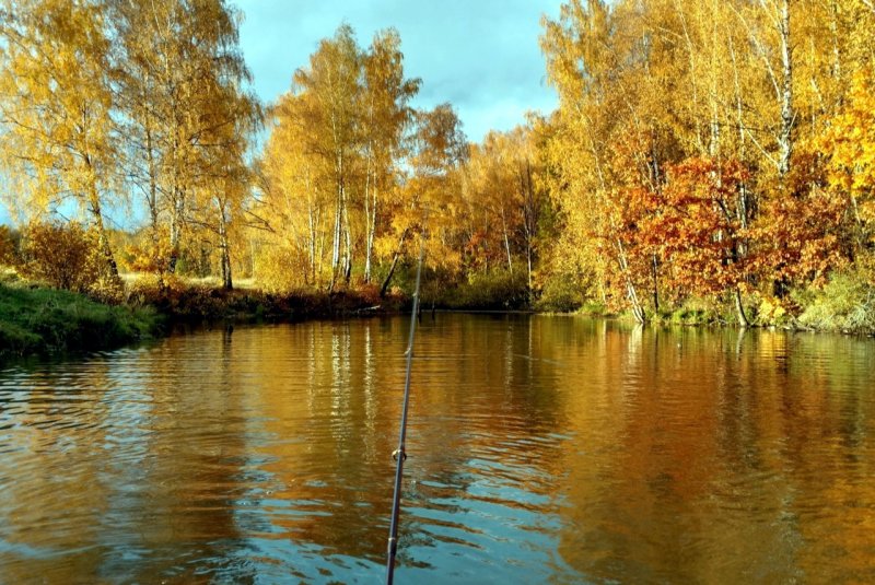 Обложка для страницы в Одноклассниках осень рыбалка