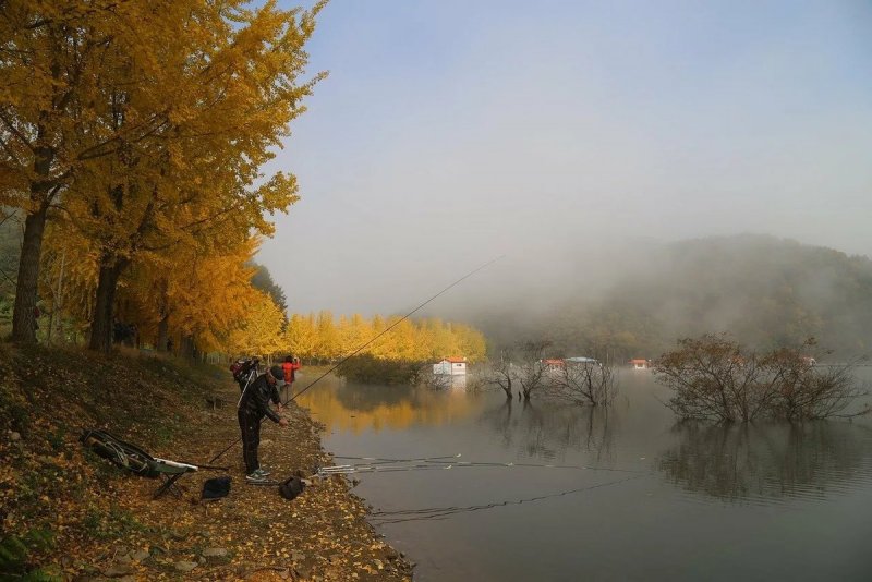 Осеннее утро на рыбалке