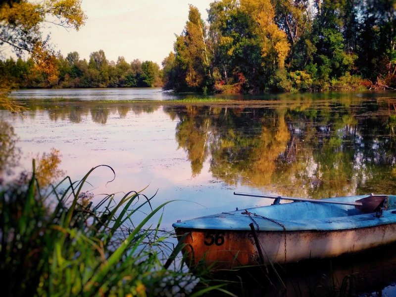Осень река лодка