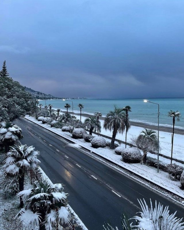 Пицунда Абхазия зимой