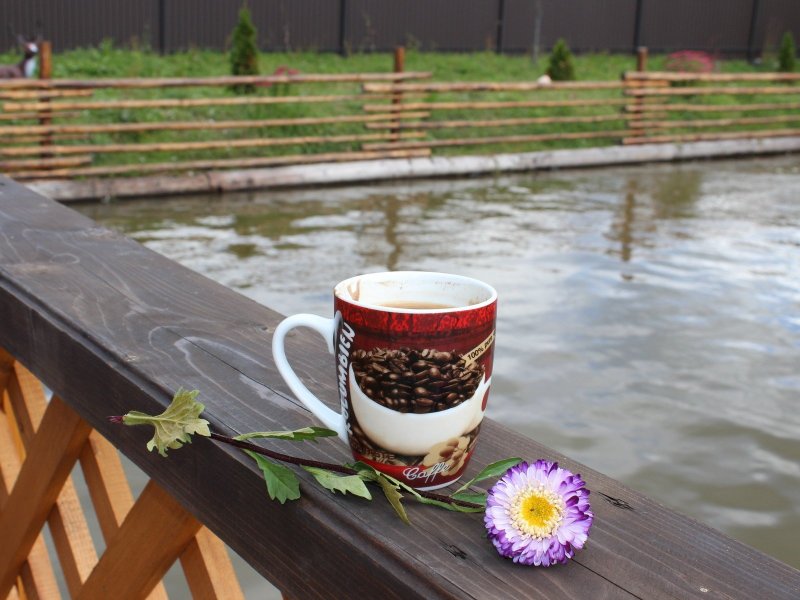 Чашка кофе на столе на природе