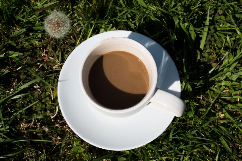 Чашечка кофе на природе