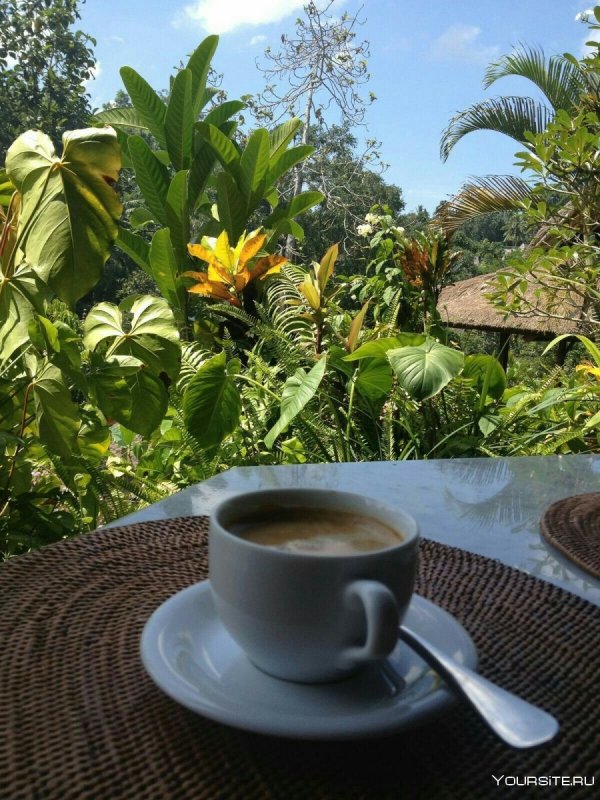 Утренний кофе на природе