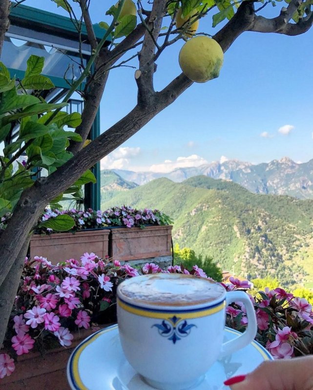 Завтрак в горах с цветами