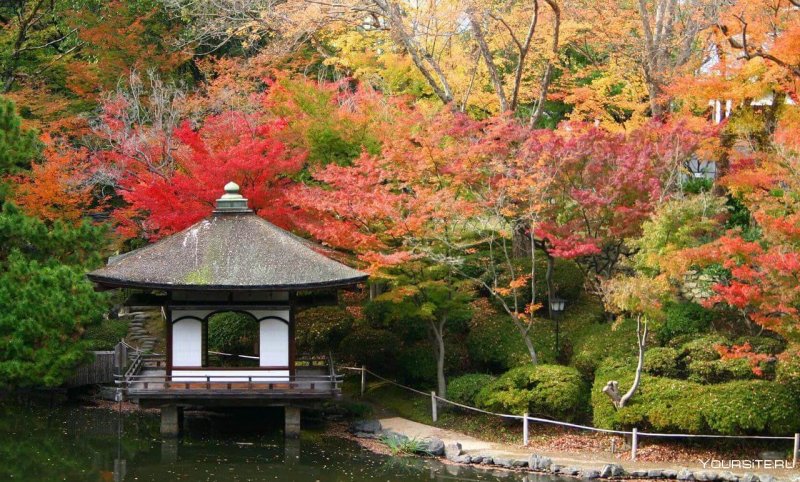 Японский сад Вакаяма