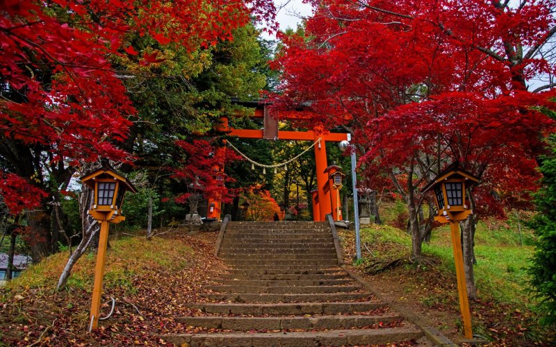 Киото Япония природа