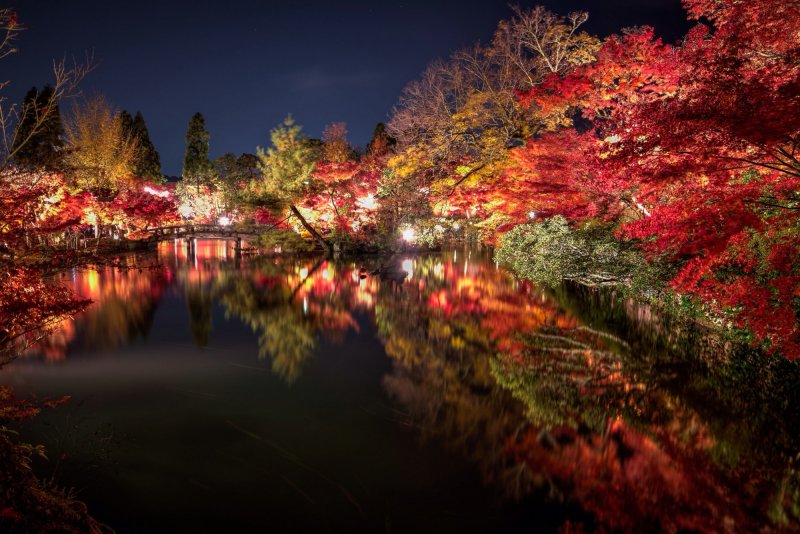 Япония осень Момидзи