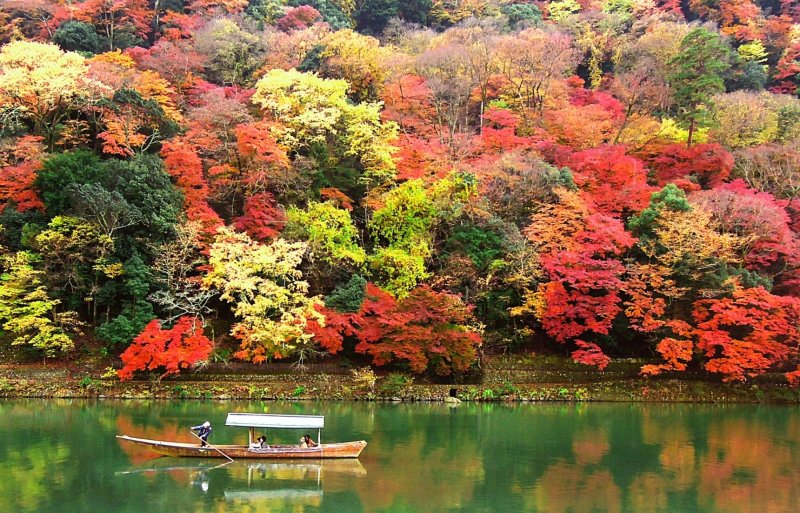 Япония осенью