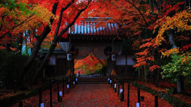 Япония осенью Киото