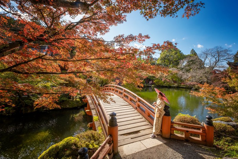 Осень в Японии в парке